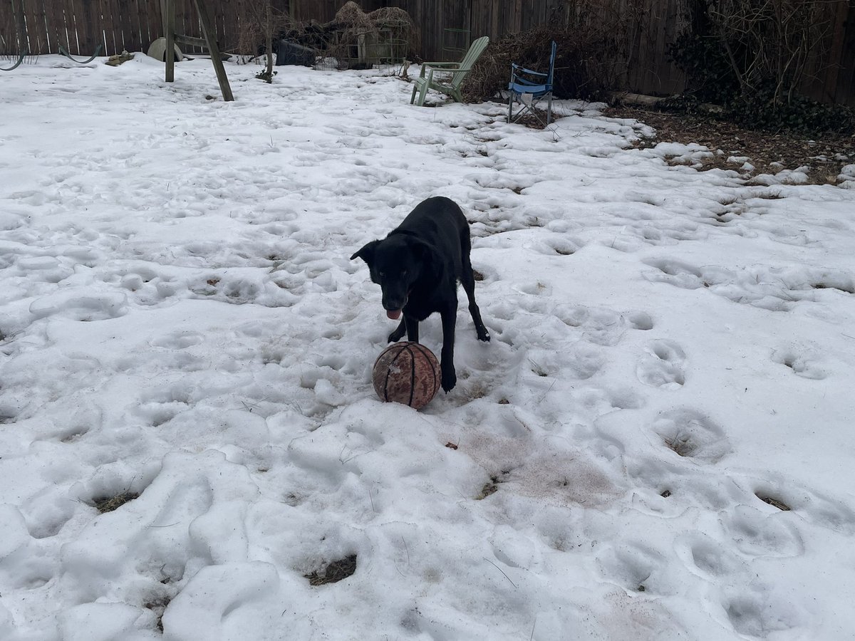 kustomkarl67 (@kustomkarl67) on Twitter photo 