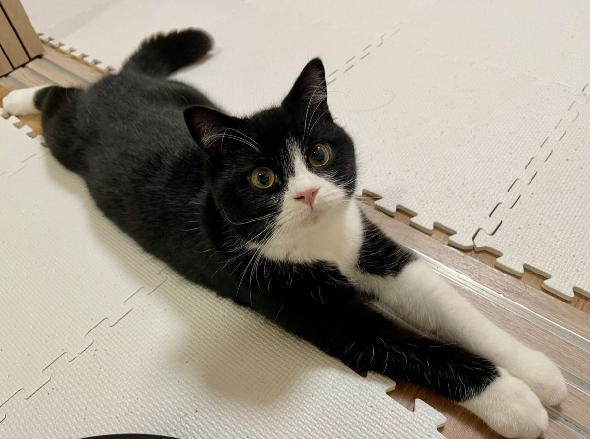 たろう (@taro20216) / Posts / X