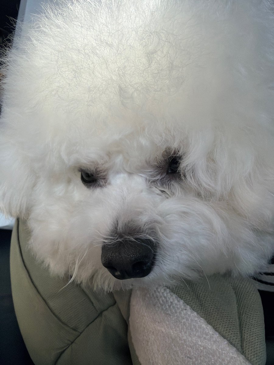 내 존귀 멍스터 김구름인거야아아ㅏㅏ 👉🏻☁️👈🏻🤍🤍