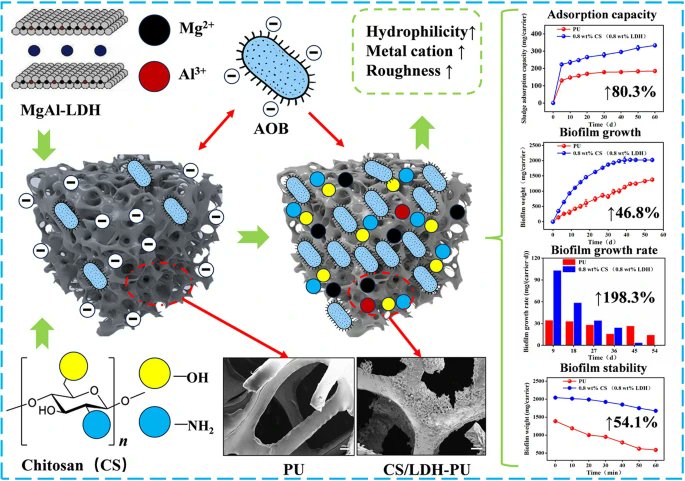 EngEnv_journal's tweet photo. Surface engineering for #bioreactors: #Chitosan/LDH coatings on polyurethane carriers improve #surfacechemistry (charge/roughness/hydrophilicity) → stronger #microbialadhesion → more stable #biofilms → better #nitritation performance.
https://t.co/nLHwFNwcuP https://t.co/imza8k5JfP