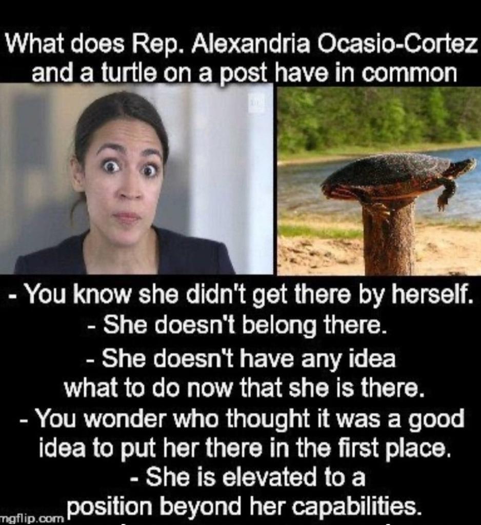 ASweethardt's tweet photo. @jammles9 @Rightanglenews So stupid, just turn the picture around!🤪🤣🤡🤣🤡🤪🤡🤪
#sandycortaz aka #AOC #dumocrats
#TurtleonPole https://t.co/d2tioh4JbG