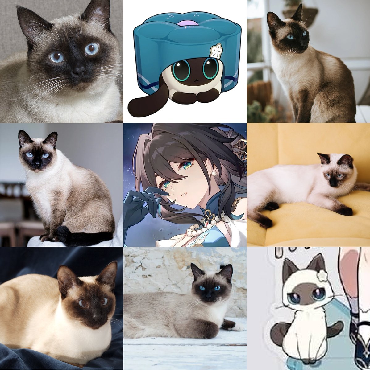 Tap 🚬🐤 tweet media