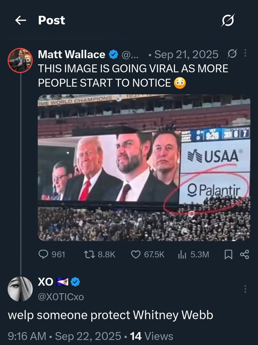 XO 🇦🇸 tweet media