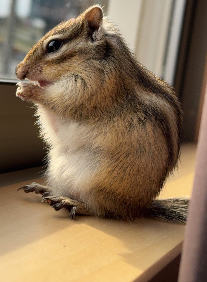 まーちゃん tweet media