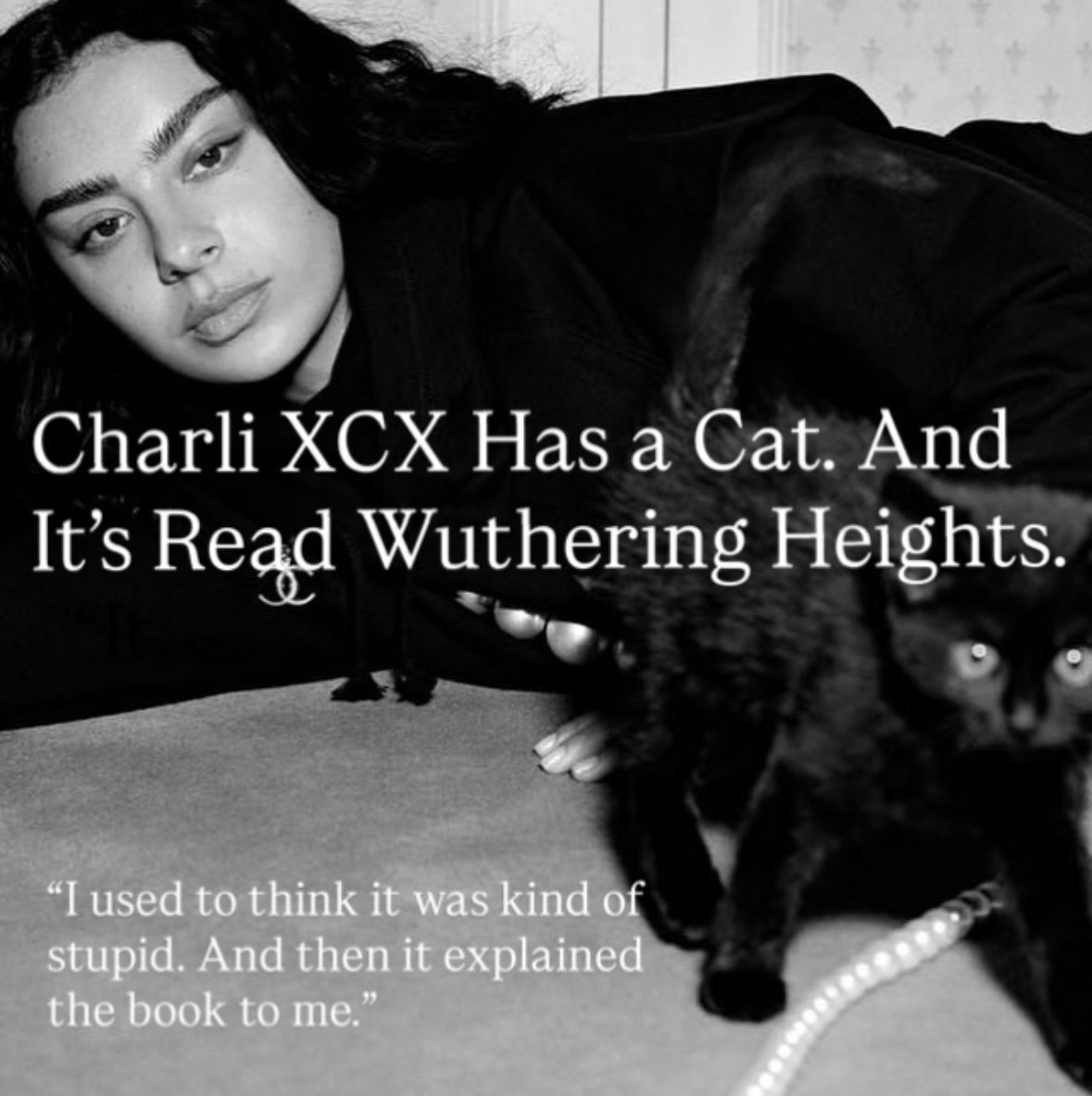 ashley (@glowinghibiscus) on Twitter photo 