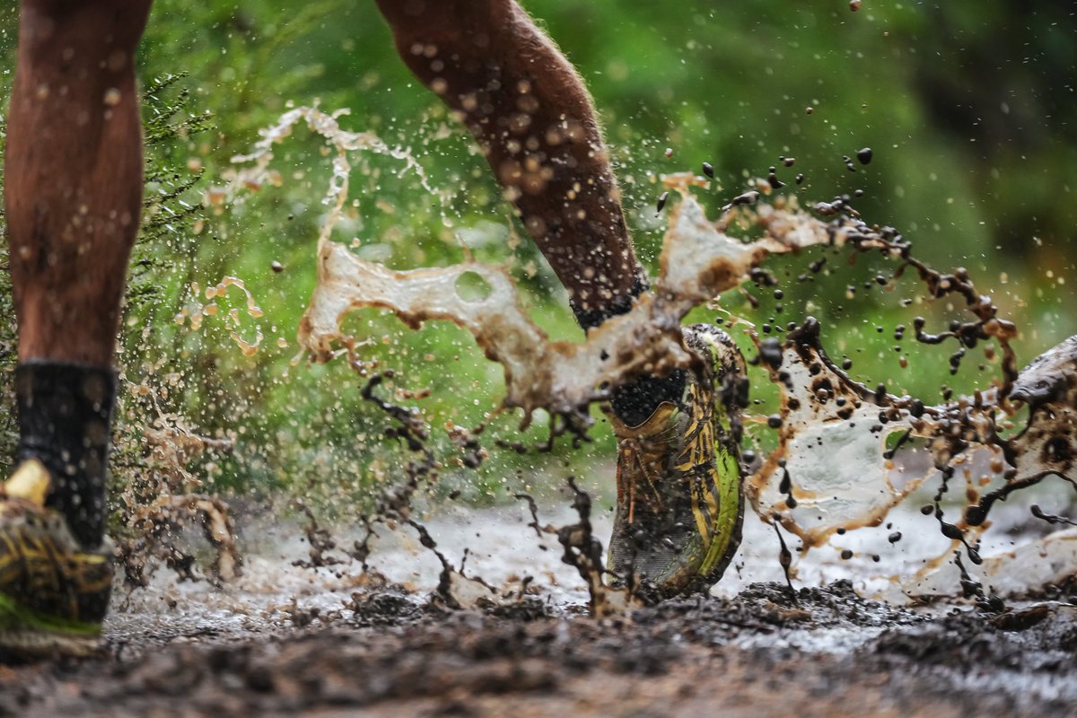 Jimmy Kostro ⚡️ tweet media