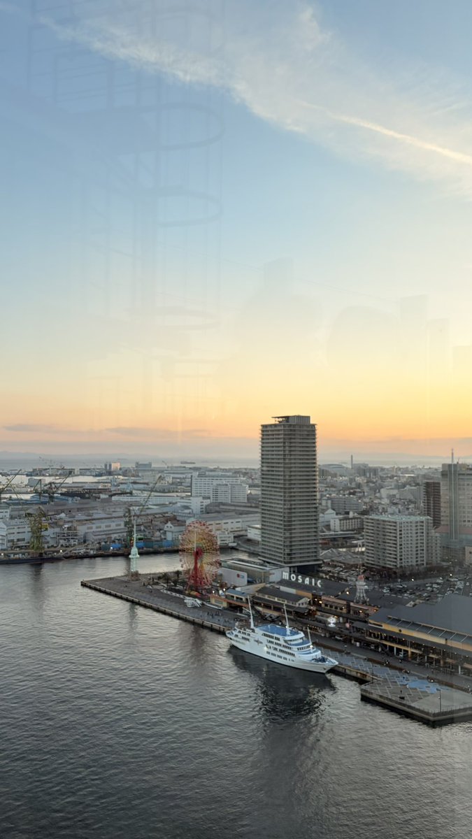 (ᵔᴥᵔ) tweet media