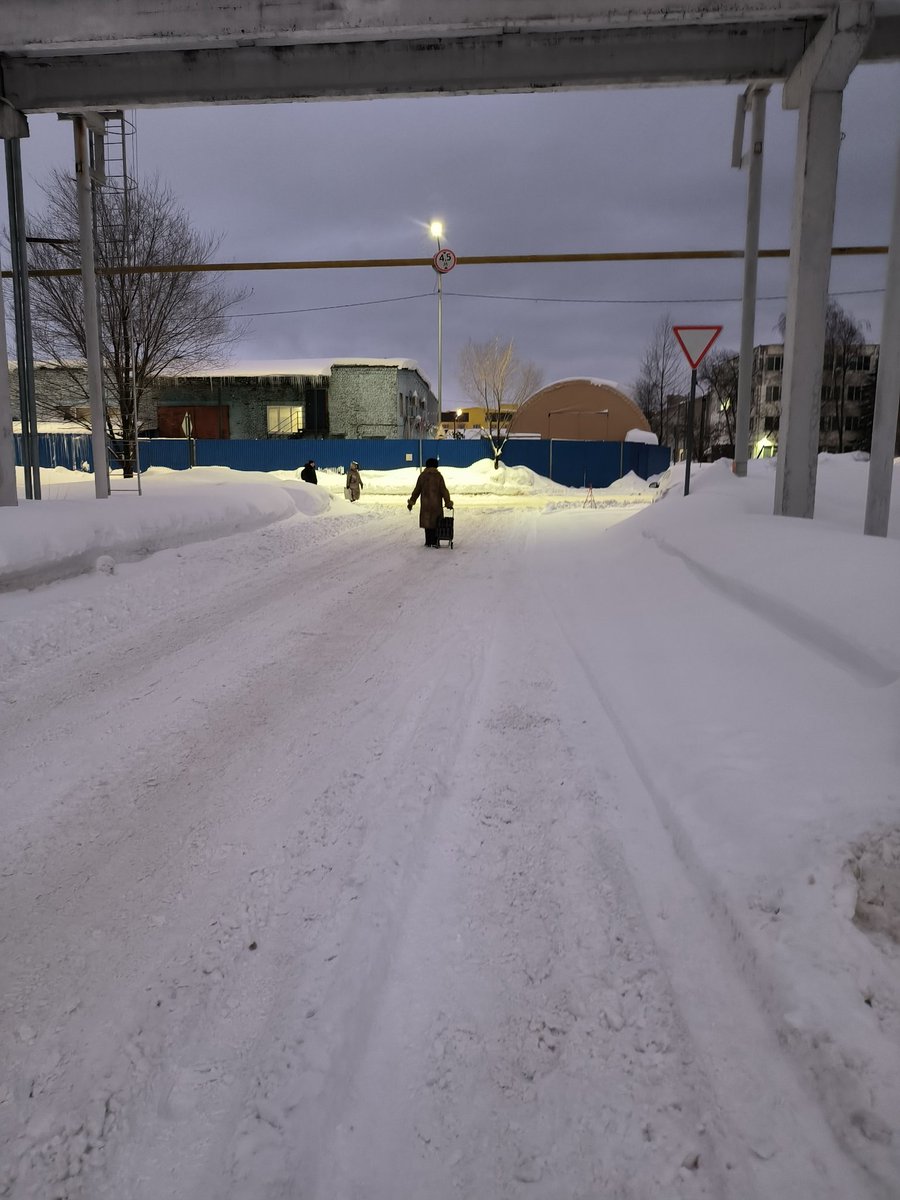 Половина седьмого утра, снег, ветер, середина промзоны и тут бабка с тележкой 👀
