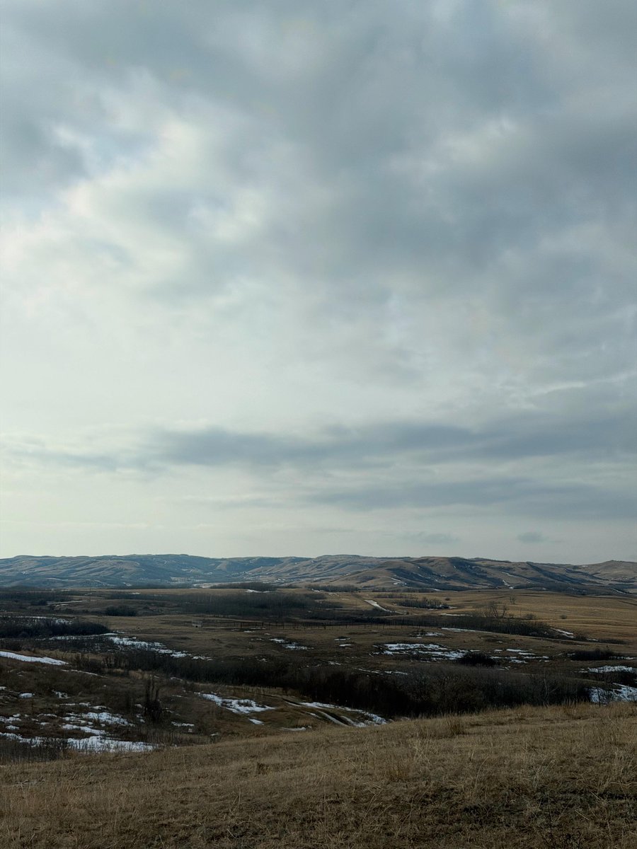 dckurek's tweet photo. It was great to bring the family out to the Spencer Historical Society cairn at the Big Gap Round-Up site today in Alberta’s Neutral Hills. As the temperature dipped and we looked out at the landscape, it was impossible not to think about the grit and determination of the pioneers who gathered here over a century ago.

​On Family Day, we celebrate not only those around our table today, but the generations who came before us. It serves as a reminder that we come from hard-working, resilient communities like those right here in Battle River–Crowfoot. ​Our history must be the foundation for our future.

​From my family to yours, I hope you are having a wonderful Family Day enjoying the rich history and beauty of our great West.