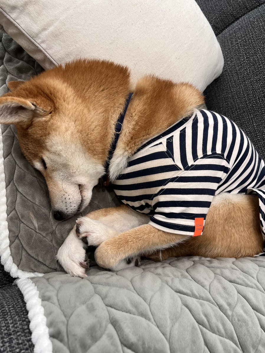 寒いの？狭くない？？大丈夫？？？