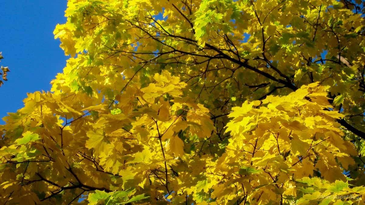 Ema Vacation Idea tweet media