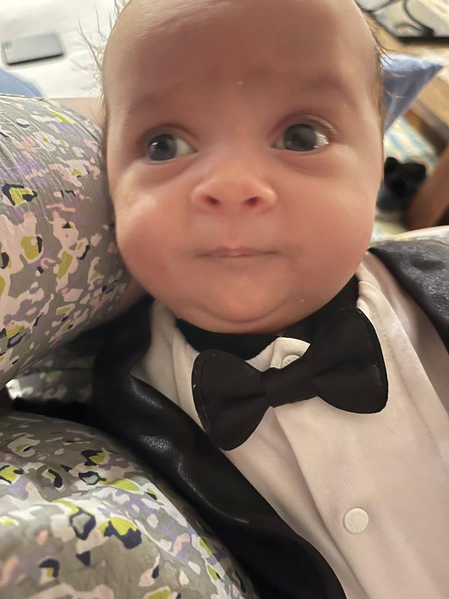 Tom Woods tweet media