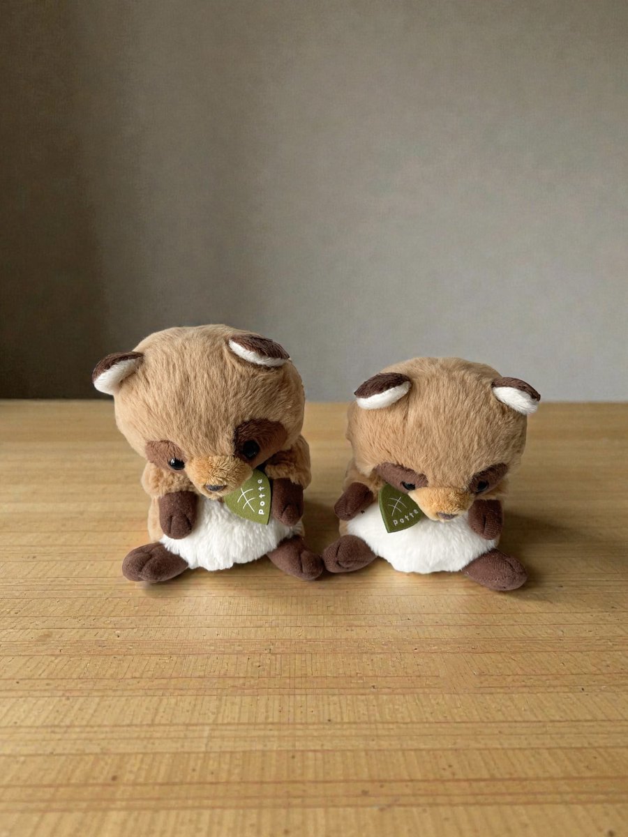 今日はたぬきさんたち一緒にお風呂とかどおかな？
一緒にお風呂入ると、きっと楽しいと思うよ！