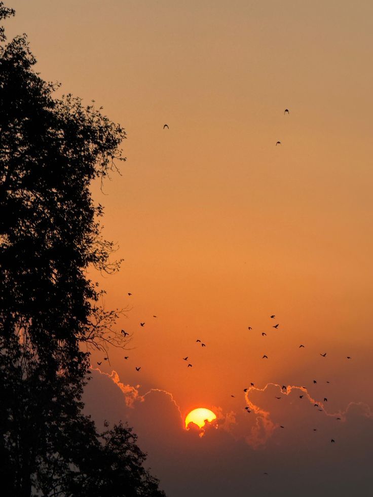 It's fresh morning 🌄 in a new day get up let's go and hustle 💪 blessd day friends