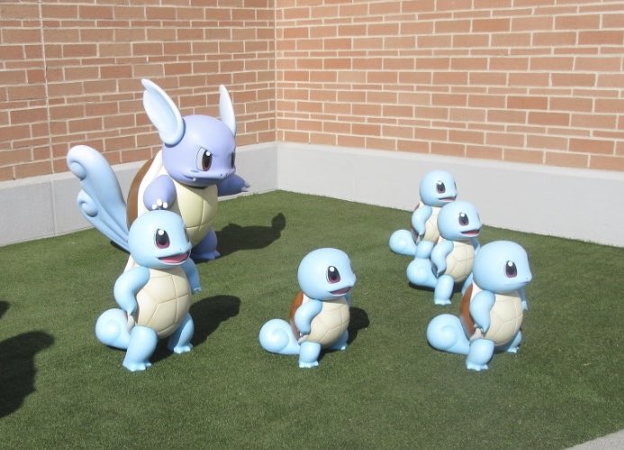 ゼニガメの個体差がかわいすぎる #ポケパークカントー