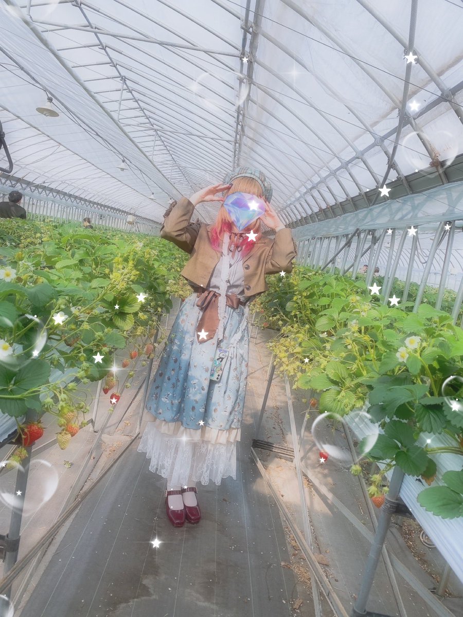 HinacoBlog's tweet photo. 🍓 https://t.co/Yn9bkzKxso