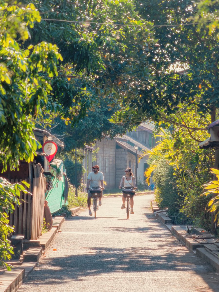 alphaville214's tweet photo. Morning light in Luang Prabang.
Just two bicycles and a quiet street.
#laos https://t.co/DA1gDyYSMc