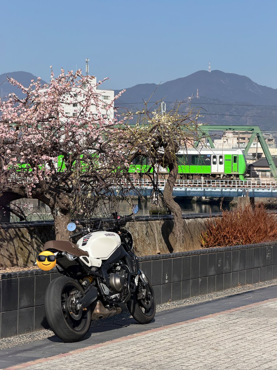 Giorno4obana's tweet photo. 梅とのツーショット撮ろうと思ったら、
電車とスリーショットになりました☆
#XSR900
#巴川
#静鉄
#A3000 https://t.co/2w845DcFyw