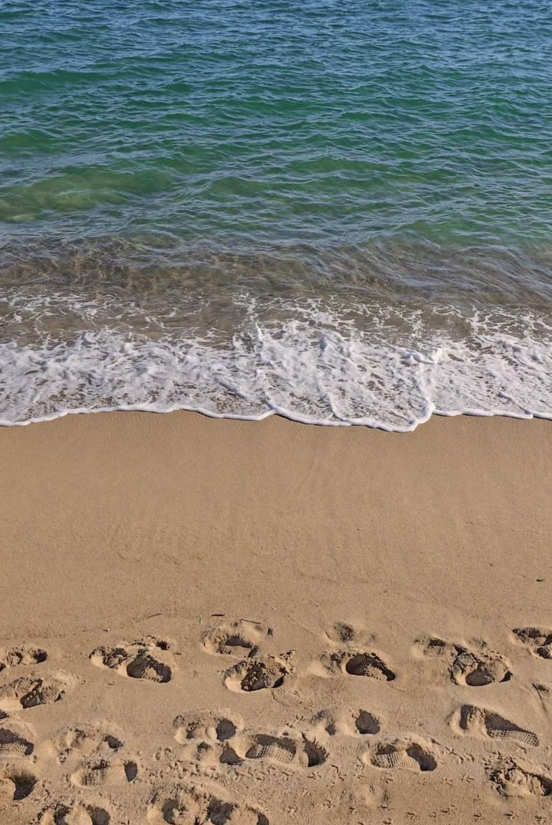 Günaydın 🖐️
#Salı