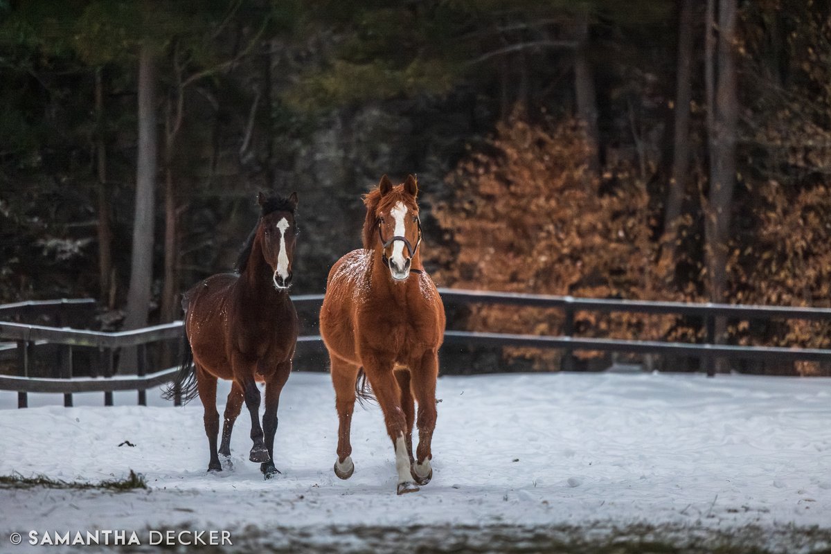 Samantha Decker (she/her) 📷 tweet media