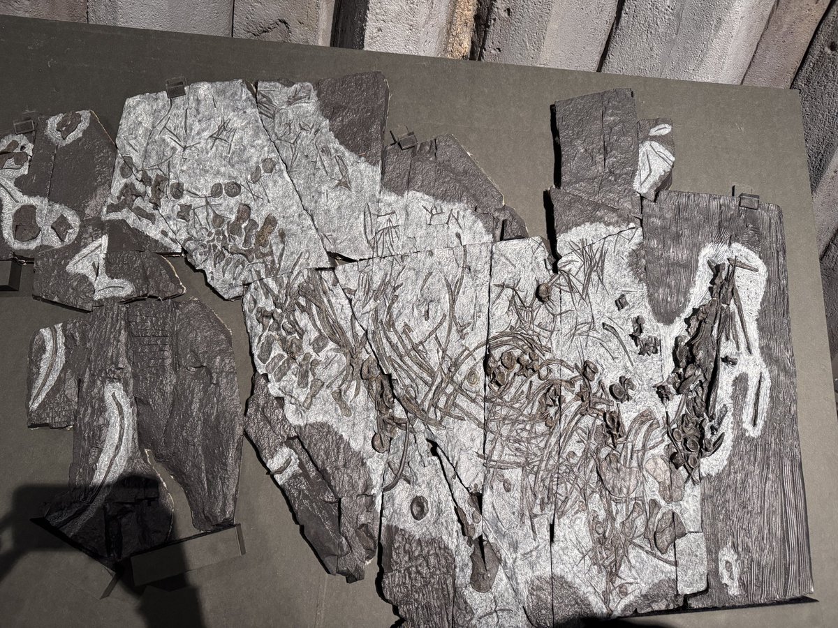 遅ればせながら、観に来ました。 たしかに動線がキツい！ あと…ウタツ