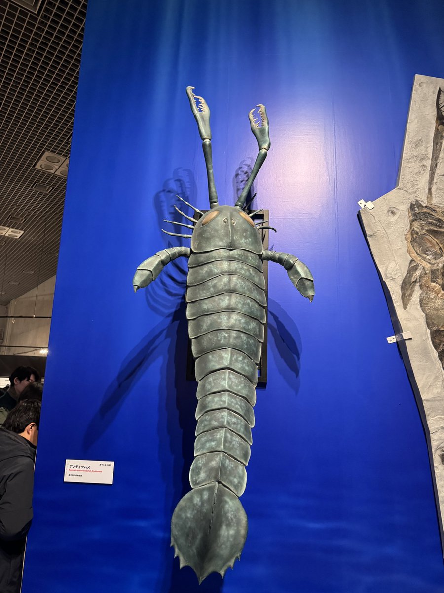 遅ればせながら、観に来ました。 たしかに動線がキツい！ あと…ウタツ