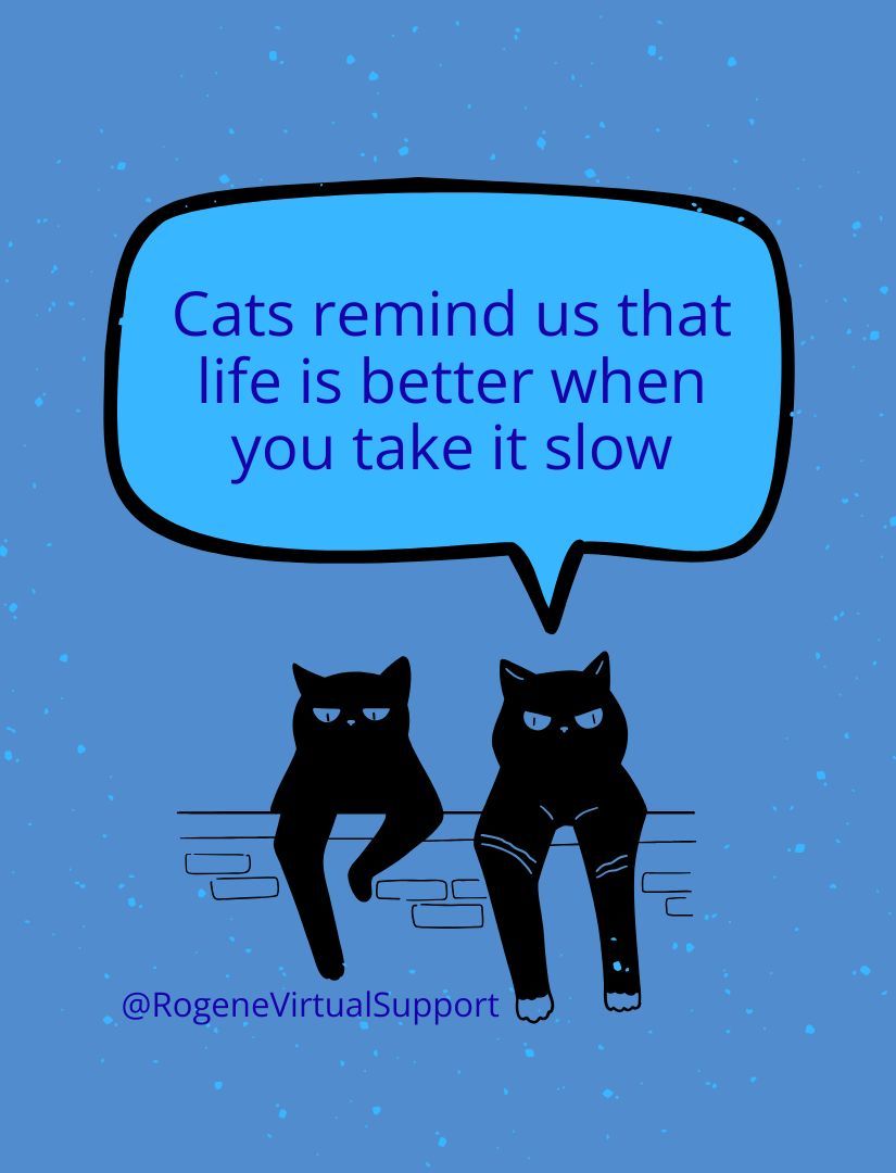 itsrogene's tweet image. I’m a total cat lover 😻 Whether they’re napping, playing, or just being their sassy selves, cats always make my day brighter!"
#CatLover #FunFactAboutMe #CatsOfInstagram #MeowLife #CatObsessed #FelineFanatic #CatPerson #PetLovers #CatsMakeMeHappy #CrazyCatPerson