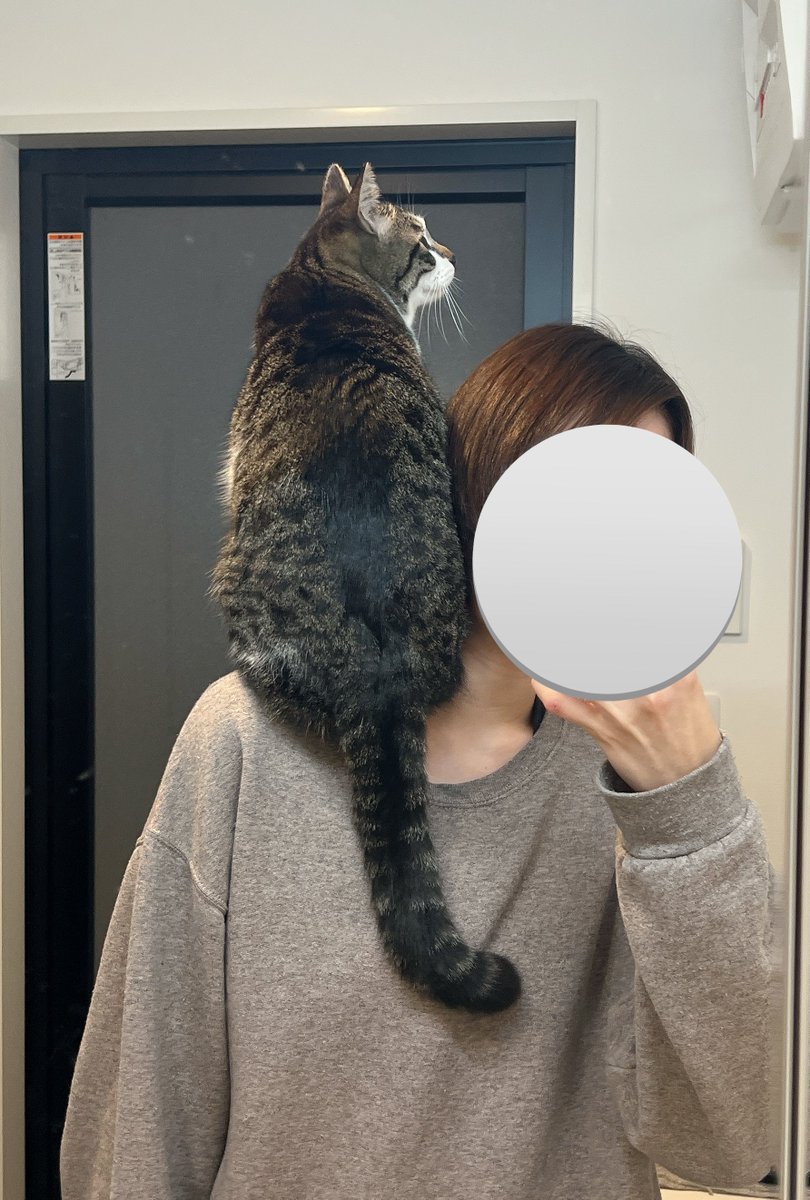 ポケモンの乗り方してくる