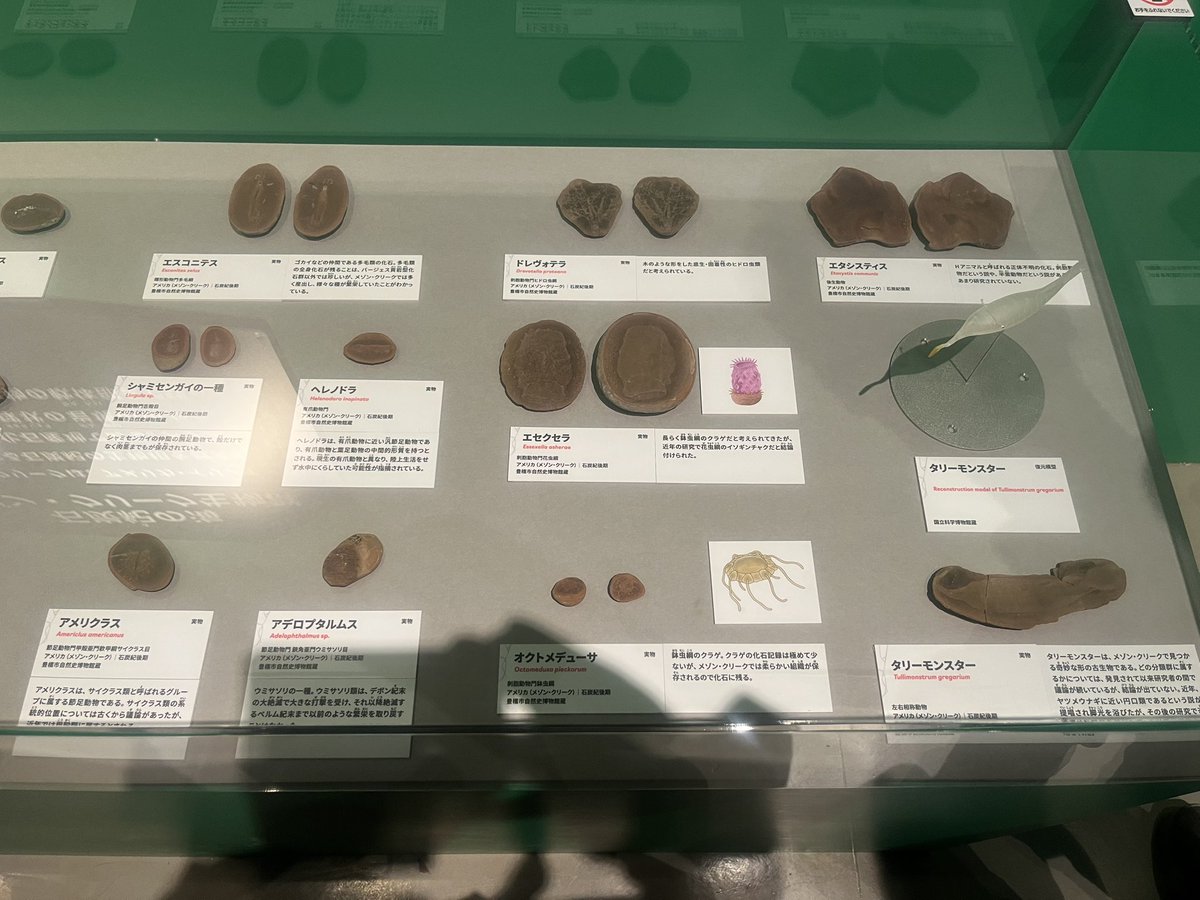 大絶滅展 23 メゾン・クリークはアメリカ・イリノイ州にある石炭期の