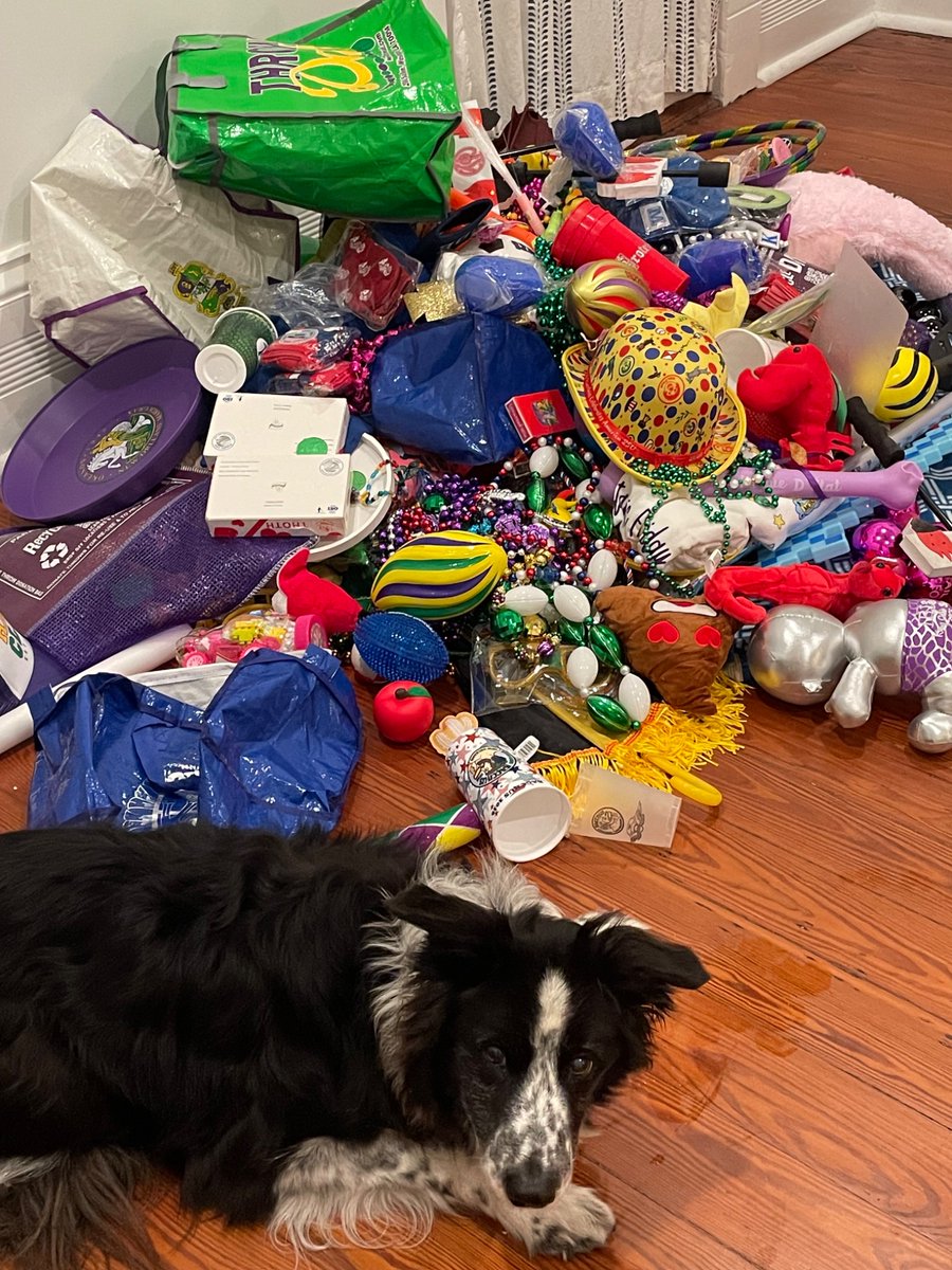 Brittany Kennedy tweet media