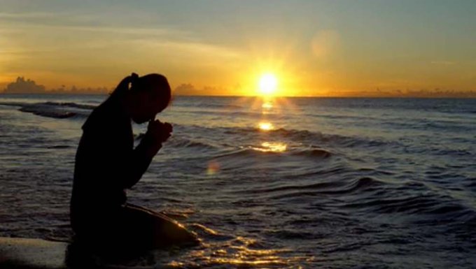 The New Vision tweet media