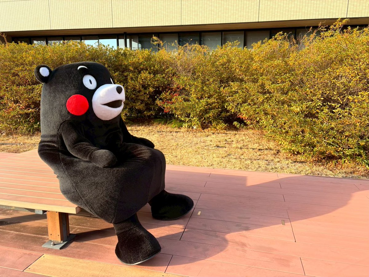 くまモン【公式】 (@55_kumamon) / Posts / X