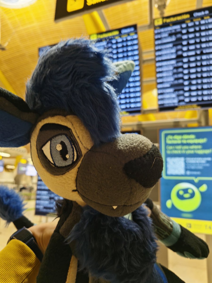It's his first time flying, he's a bit nervous 
#NFC2026

🧵 <a href="/Wachumon/">Wachumon 🟦🌫️🐲</a>