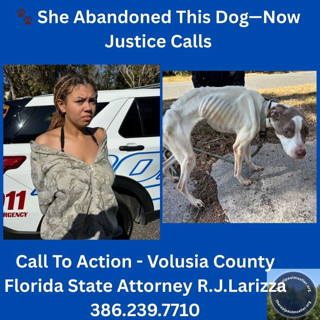 🐾 Abandoned and starving, this dog is finally safe and getting the care she deserves.

New Smyrna Beach, Florida — Arriana Washington, 19, of Port Orange, arrested after police say she abandoned a severely malnourished, emaciated female dog on a neighborhood street. The