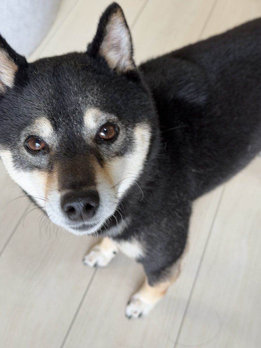 “你今天怎么还在我家？”