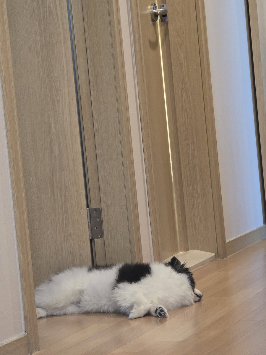 ㅋㅋㅋㅋㅋㅋㅋㅋㅋ남의 집에서 떡실신 해버리기