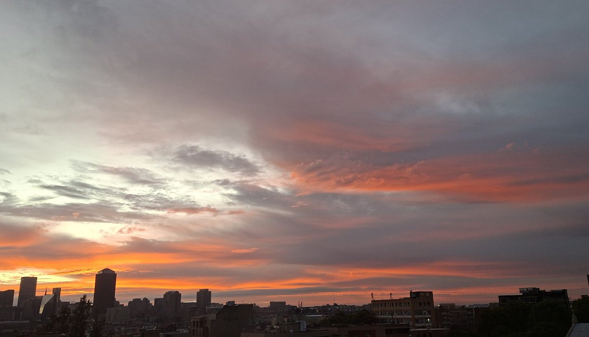 Shahed N tweet media