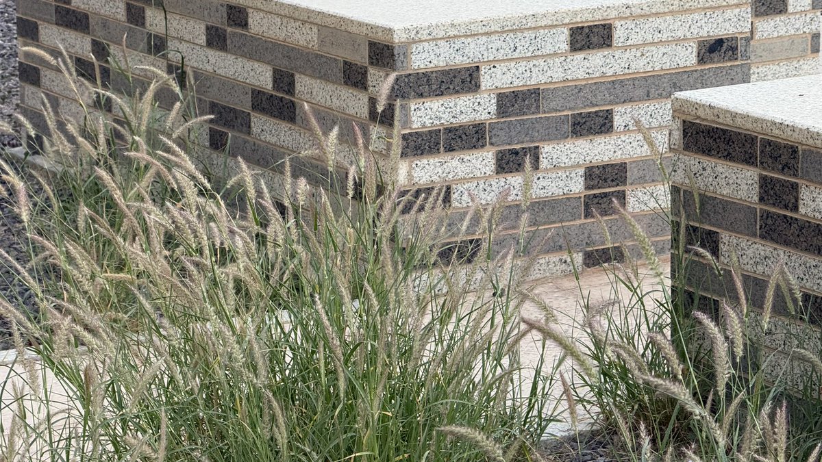 حورية tweet media