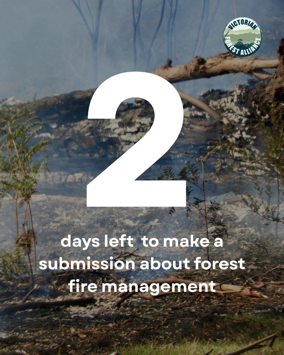 Countless destructive and ineffective fire management practices have been exposed in recent years. Threatened species killed, ancient trees felled, and fires started by forest fire managers.

Don't give FFMV blanket federal approval.

Make a submission:
➡victorianforestalliance.org.au/ffmv-strategic…