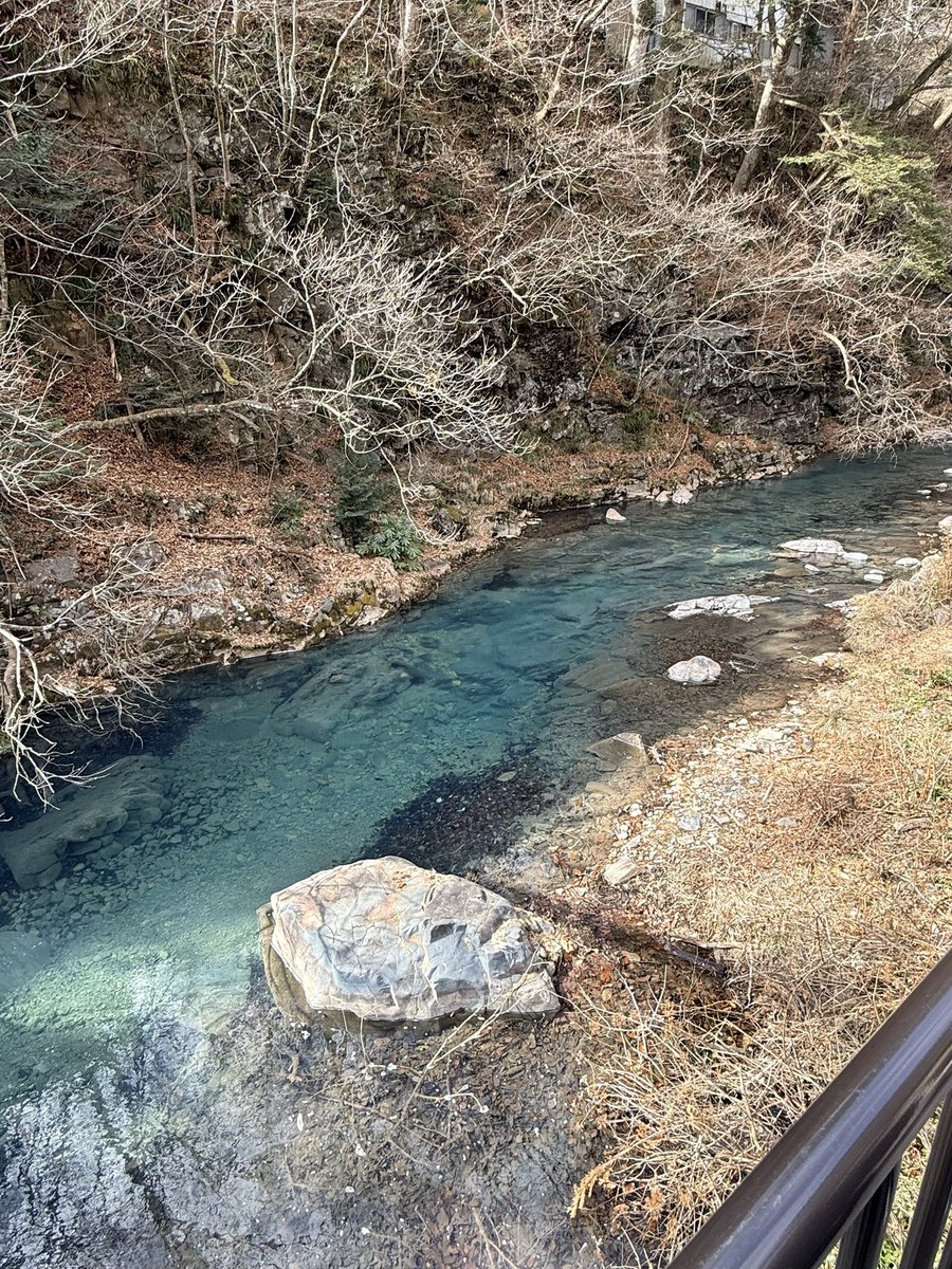 パール tweet media