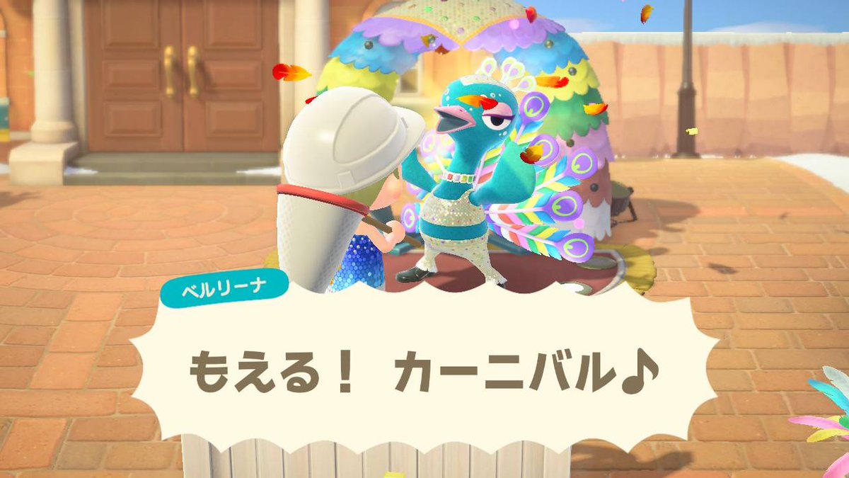 🌻ひまり🌻ヾ(⌒(_*'ω'*)_ tweet media