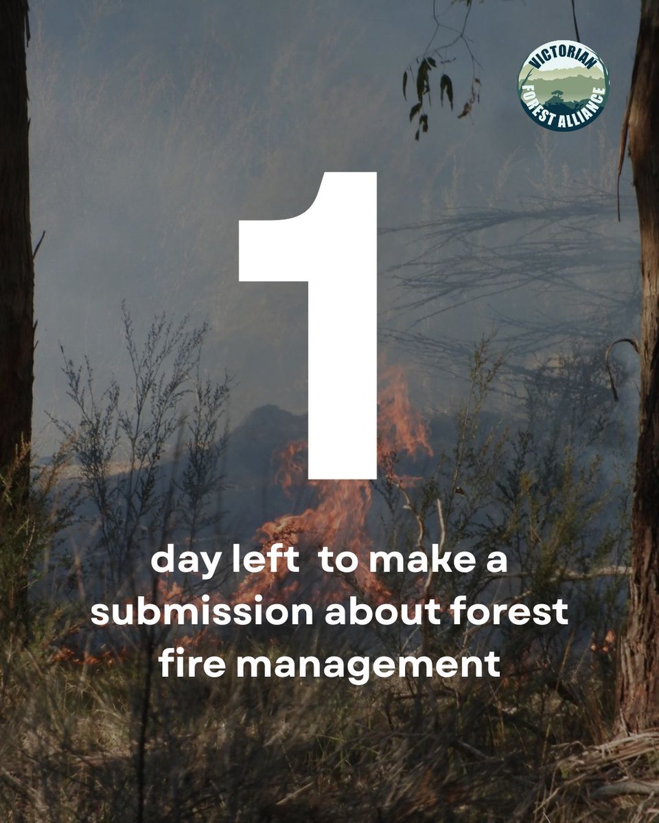 Countless destructive and ineffective fire management practices have been exposed in recent years. Threatened species killed, ancient trees felled, and fires started by forest fire managers.

Don't give FFMV blanket federal approval.

Make a submission:
➡victorianforestalliance.org.au/ffmv-strategic…
