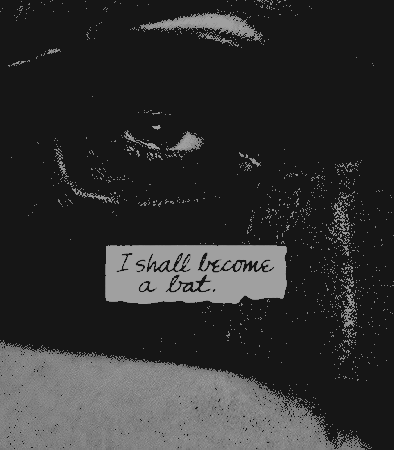 ‍ ‍ ‍ ‍‍ ‍ ‍ ‍ ‍ ‍ᅠ tweet media