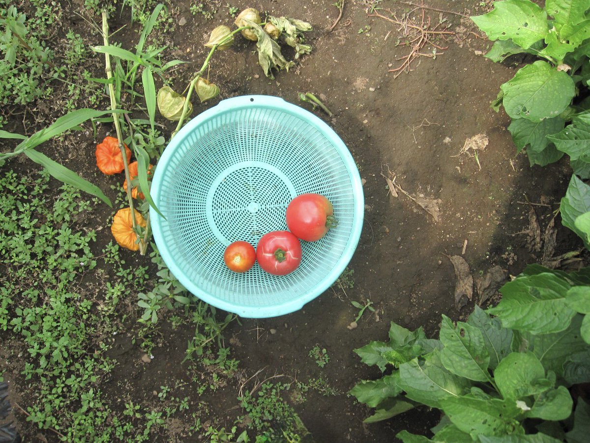 ⋆˚࿔ tweet media