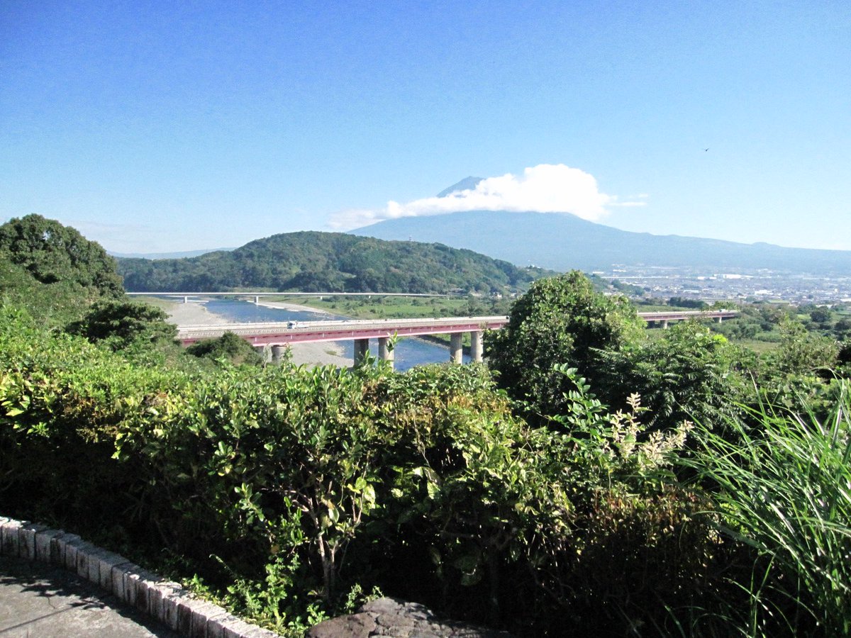 ⋆˚࿔ tweet media