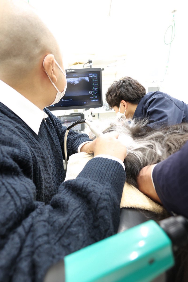 Indomi0701's tweet photo. 動物病院京都さんとのコラボ企画第二弾！
今回は動物病院にお邪魔して、エコーで人間との比較の勉強！ https://t.co/6gxidL5Kji