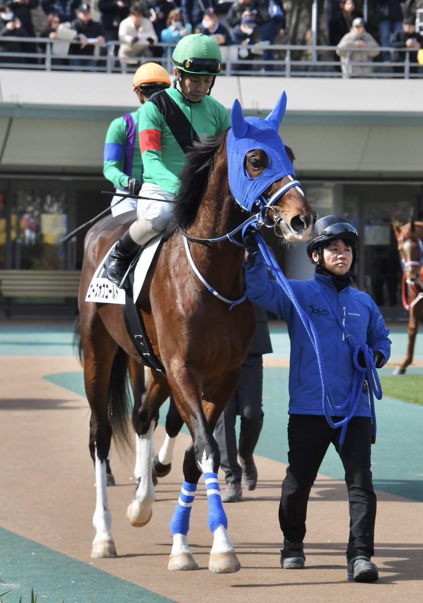 2026.2.10 東京6R 3歳未勝利 〗 シャオママルと同じ牧場で育った