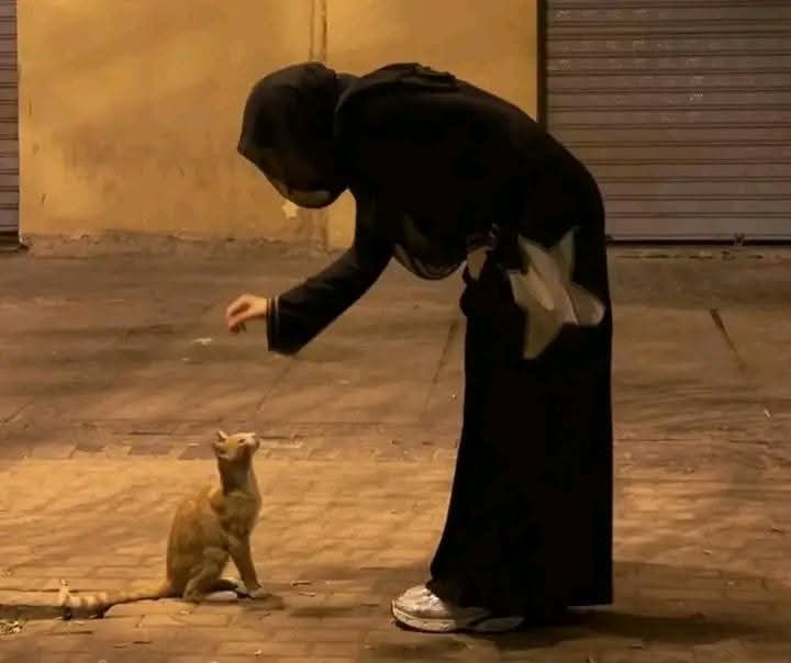 مجھے پسند ہیں ایسے خیالات جو اس دنیا سے دور لیجاتے ہیں".❤🌸
good morning