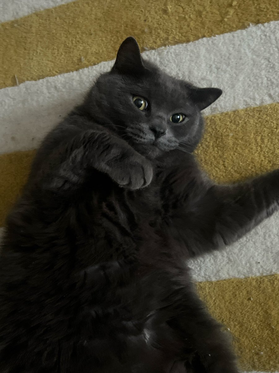 денис драмэндбейс tweet media