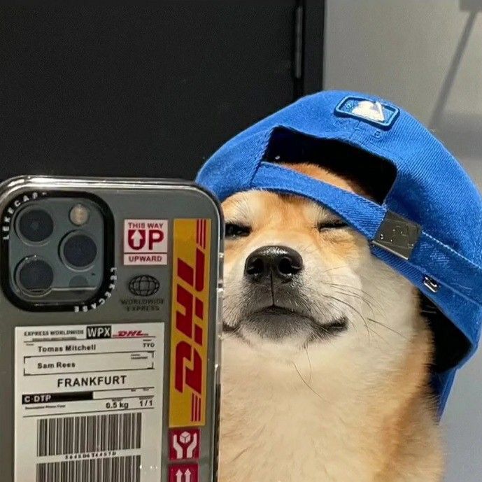 SollDream's tweet photo. Cool dog 

$Momo https://t.co/3mz1nfPTpr